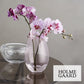Holmegaard Cocoon Vase H11,5, rosa